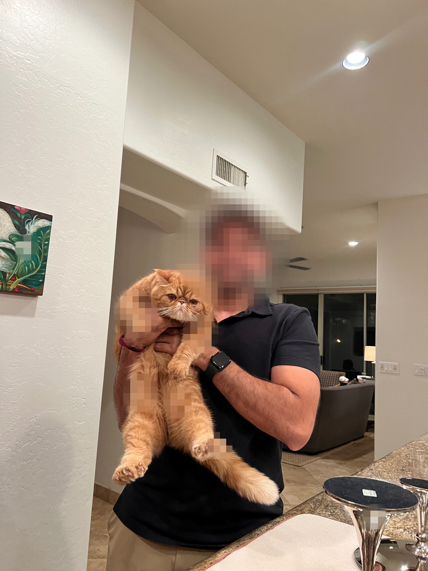 Being a cat person